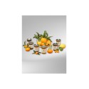 Extra Citrus Fruits Jam Extra Citrus Fruits Jam
